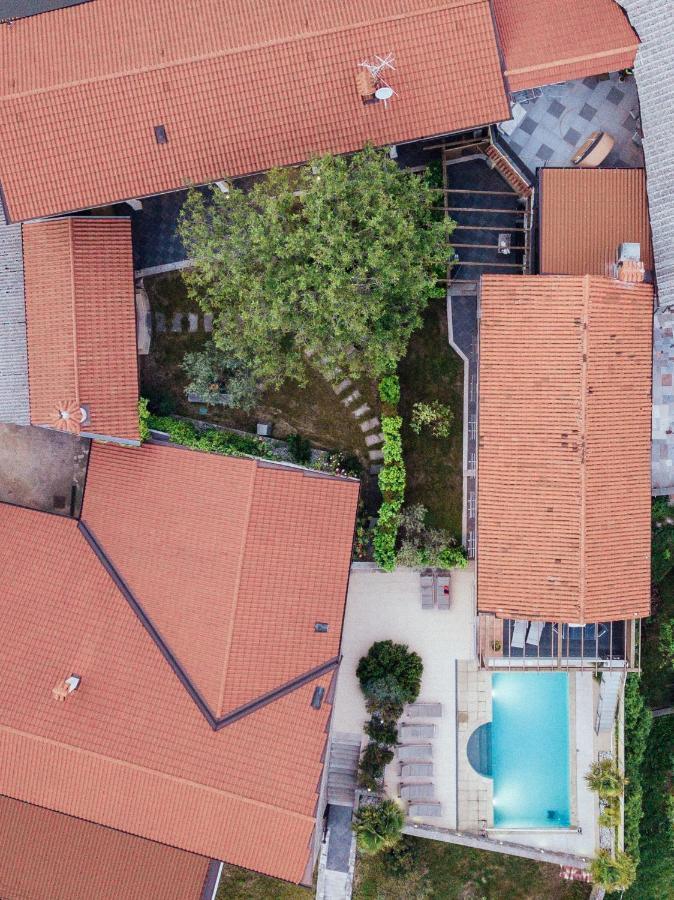 Villa Hermes Art Dutovlje エクステリア 写真