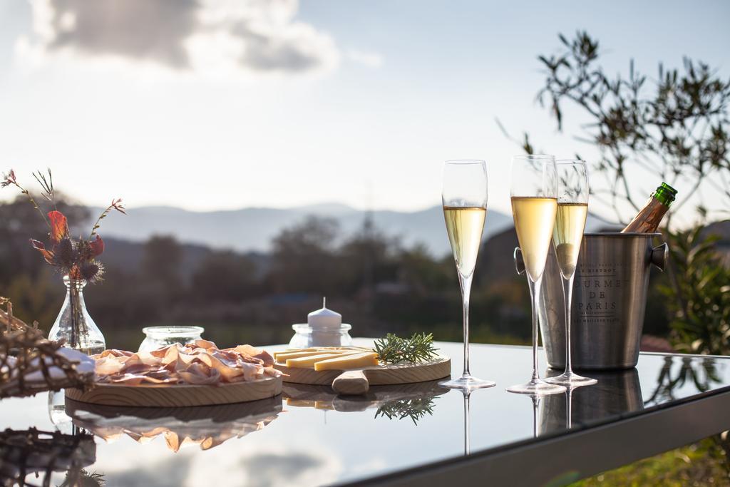 Villa Hermes Art Dutovlje エクステリア 写真